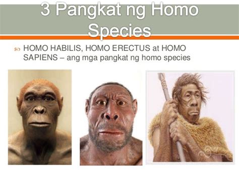 Saang kontinente nagsimula ang homo erectus